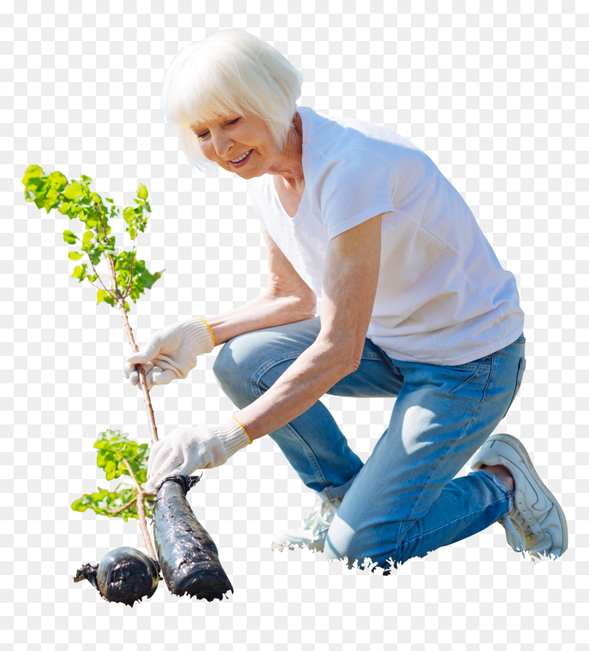 Cut Out People Garden, HD Png Download - garden png