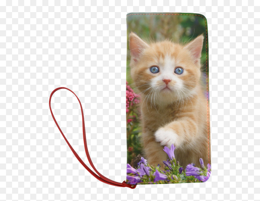 Cute Ginger Kitten Funny Baby Pet Animal In A Garden - Cute Ginger Kitten, HD Png Download - kitten png