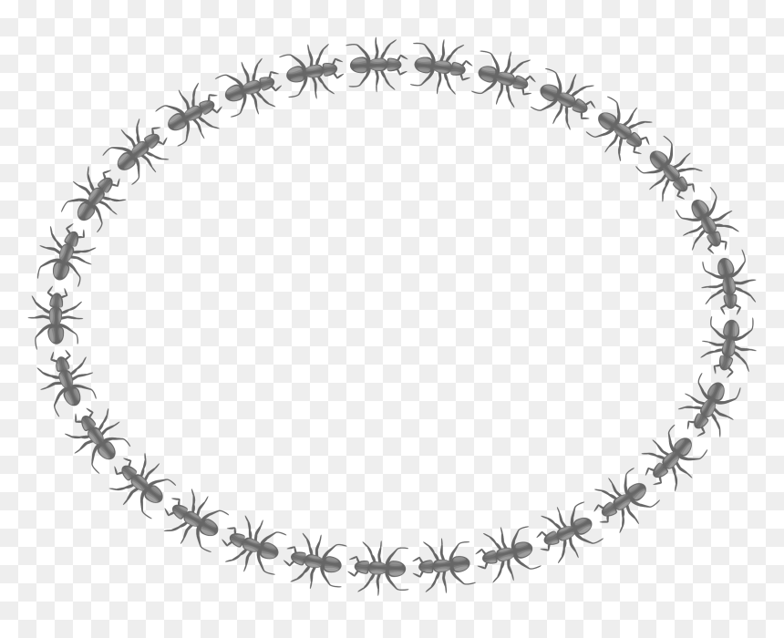 Ant Border Png Clipart Black And White Download - Two Things Can Destroy Any Relationship, Transparent Png - black border png