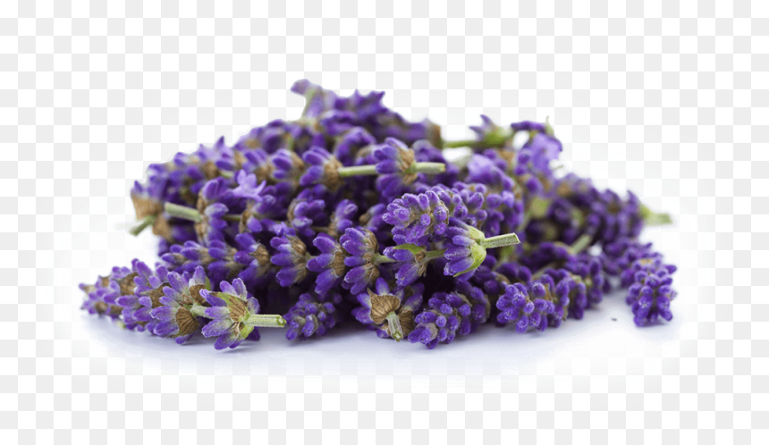 Essential Oils 100% Pure Natural Therapeutic Grade - Foot Scrub Good Vibes 4 Kit Pedicure, HD Png Download - lavender png