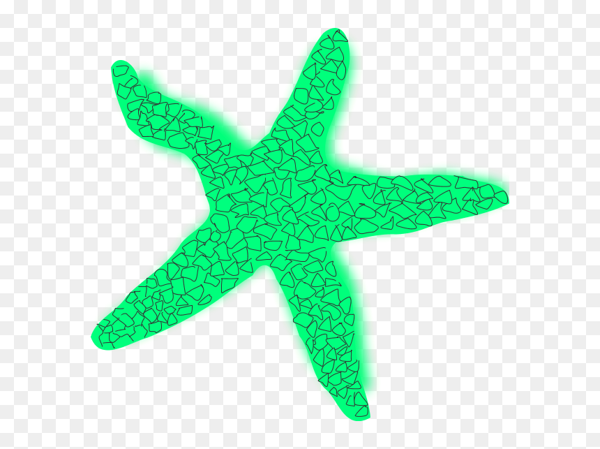 Starfish Clipart Star Fish - Star Green Fish, HD Png Download - starfish png