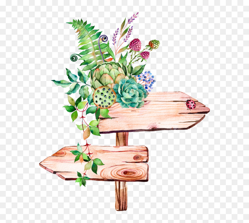 Transparent Watercolor Succulent Png Clipart , Png, Png Download - succulent png