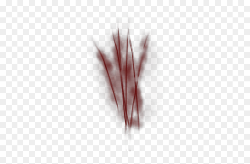 Scratches Clipart Pictures Free - Grass, HD Png Download - scratches png