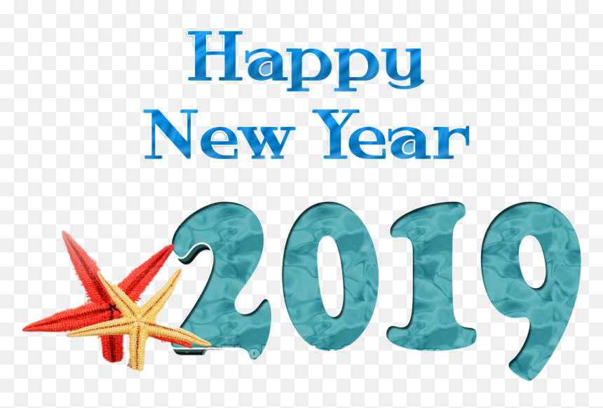 Happy New Year Png Image - Starfish, Transparent Png - starfish png