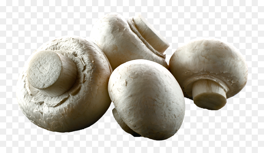 White Button Mushrooms - Transparent Button Mushroom Png, Png Download - mushroom png