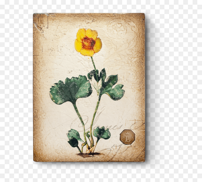 Rated R Png , Png Download - Buttercup, Transparent Png - rated r png