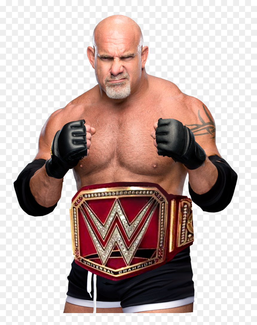 Transparent Wwe Roman Reigns Png - Bill Goldberg, Png Download - roman reigns png