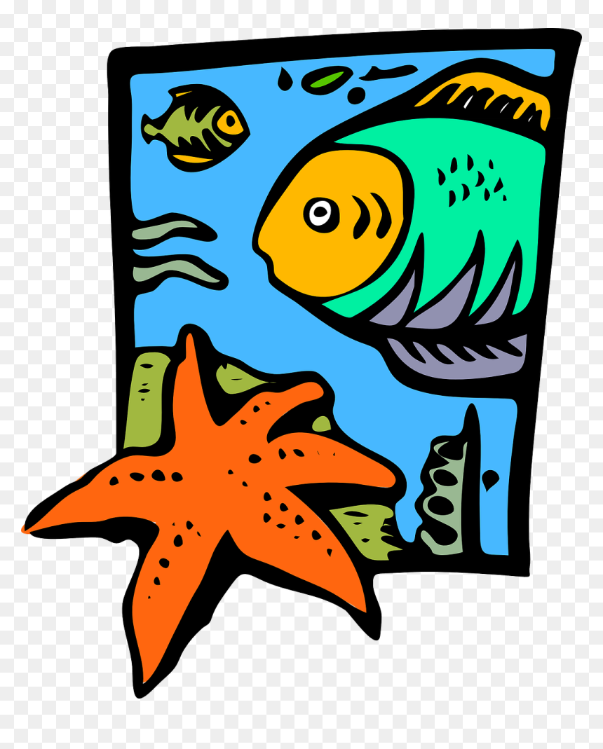 Marine Science Clipart, HD Png Download - starfish png