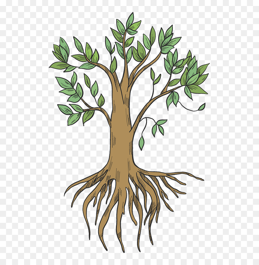 Tree With Roots Clipart, HD Png Download - roots png