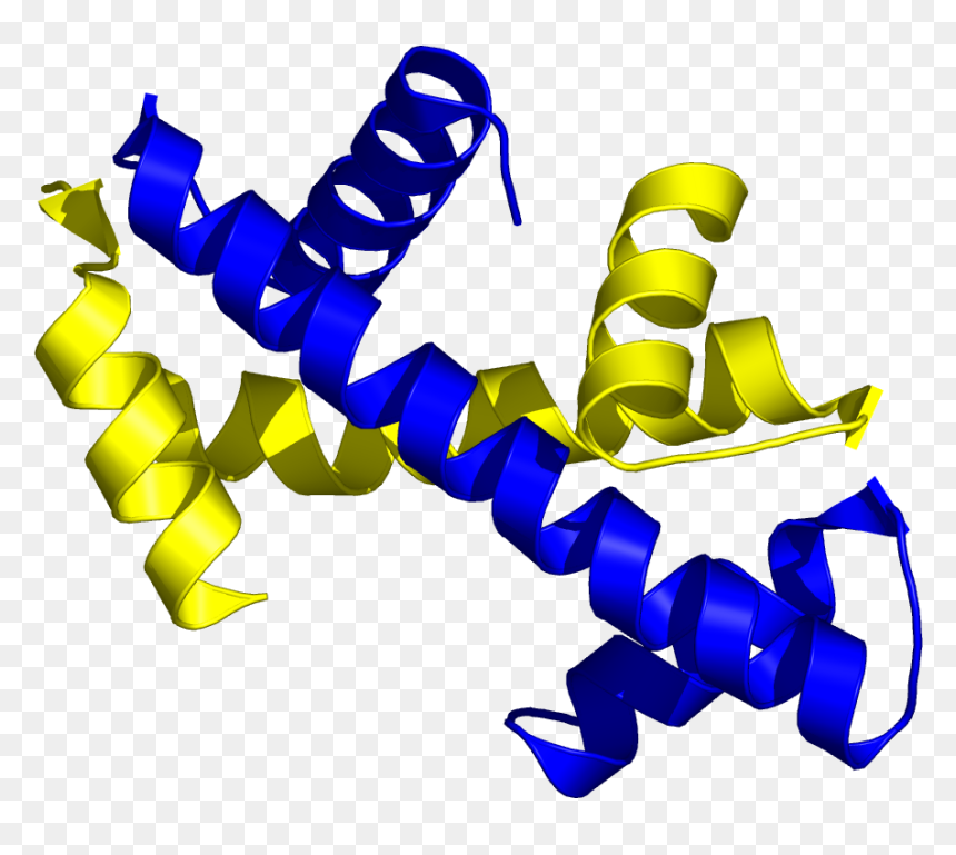Histone Handshake, HD Png Download - handshake png