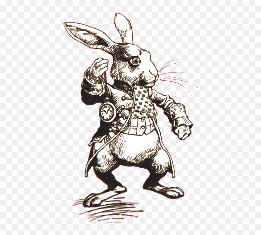 Thumb Image - Alice In Wonderland Rabbit Drawing, HD Png Download - alice in wonderland png