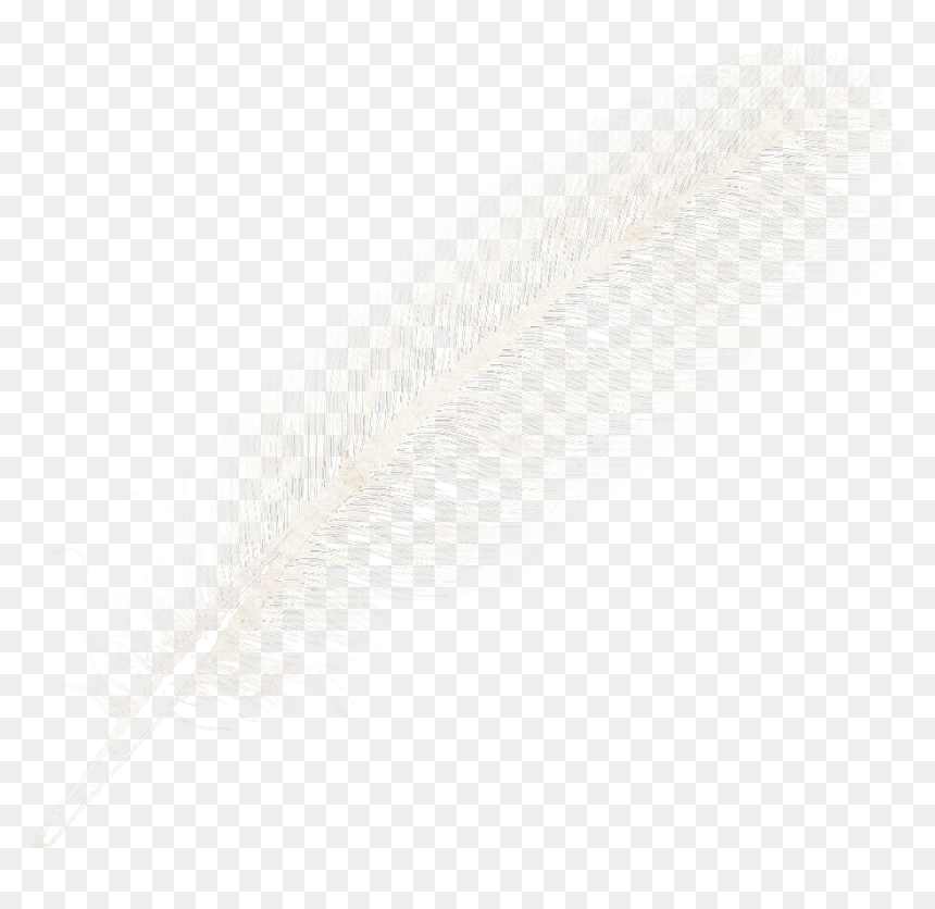 Transparent Boho Feather Png - Feather Png, Png Download - feathers png