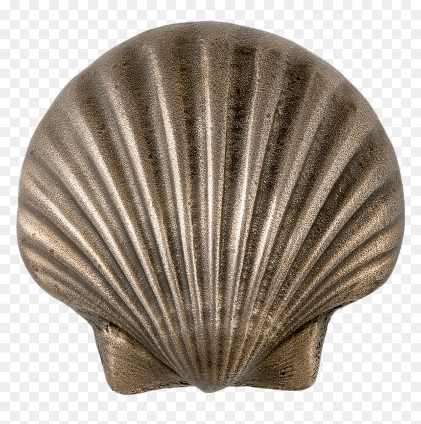 Metal Scalloped Seashell Clip Arts - Metal Seashells, HD Png Download - seashell png