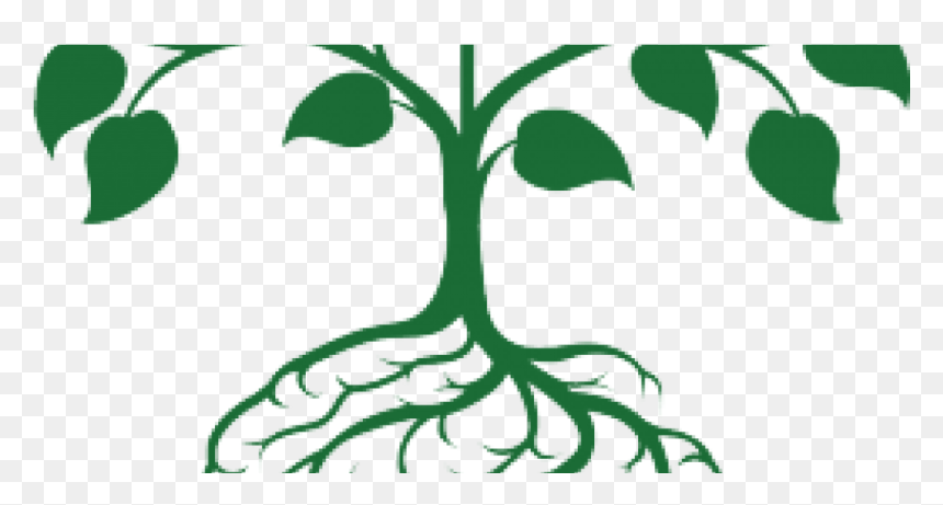 Transparent Tree With Roots Png - Plants Growing In Brain, Png Download - roots png