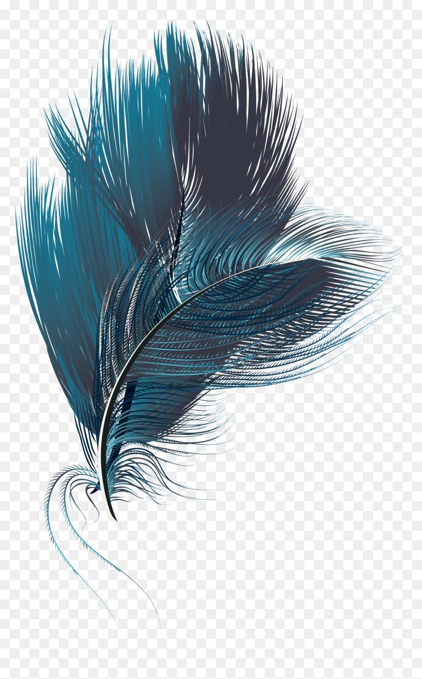 Feather Computer File - Portable Network Graphics, HD Png Download - feathers png