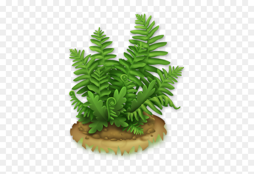 Image Lush Hay Day - Plant Png Hayday, Transparent Png - fern png