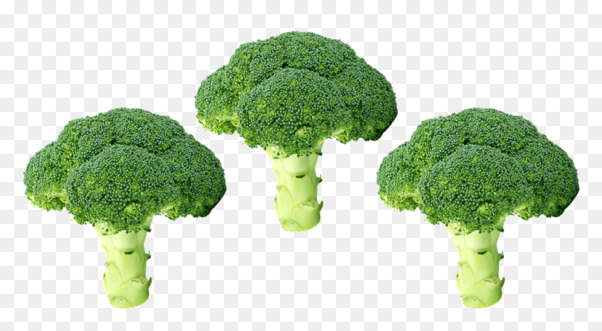 Broccoli, HD Png Download - vegetables png
