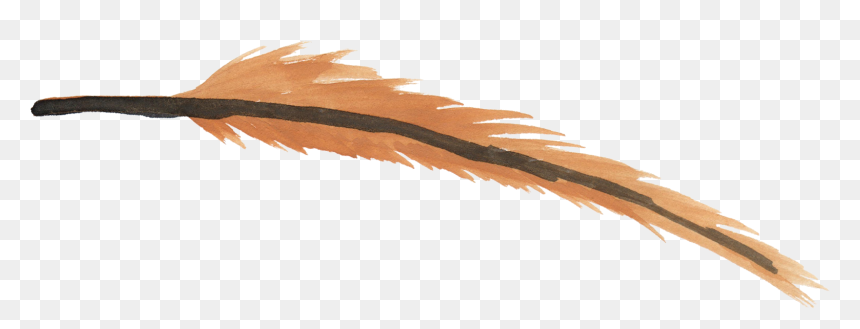 Png Watercolor Feathers Brown , Png Download - Watercolour Feather Png, Transparent Png - feathers png