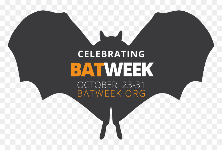 Bats Are A Unique Group Of Animals With Ecological, - Zebra, HD Png Download - bats png