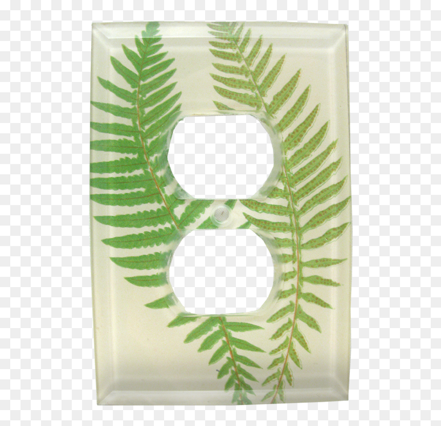 Vintage Fern , Png Download - Pinnatifid Fern, Transparent Png - fern png