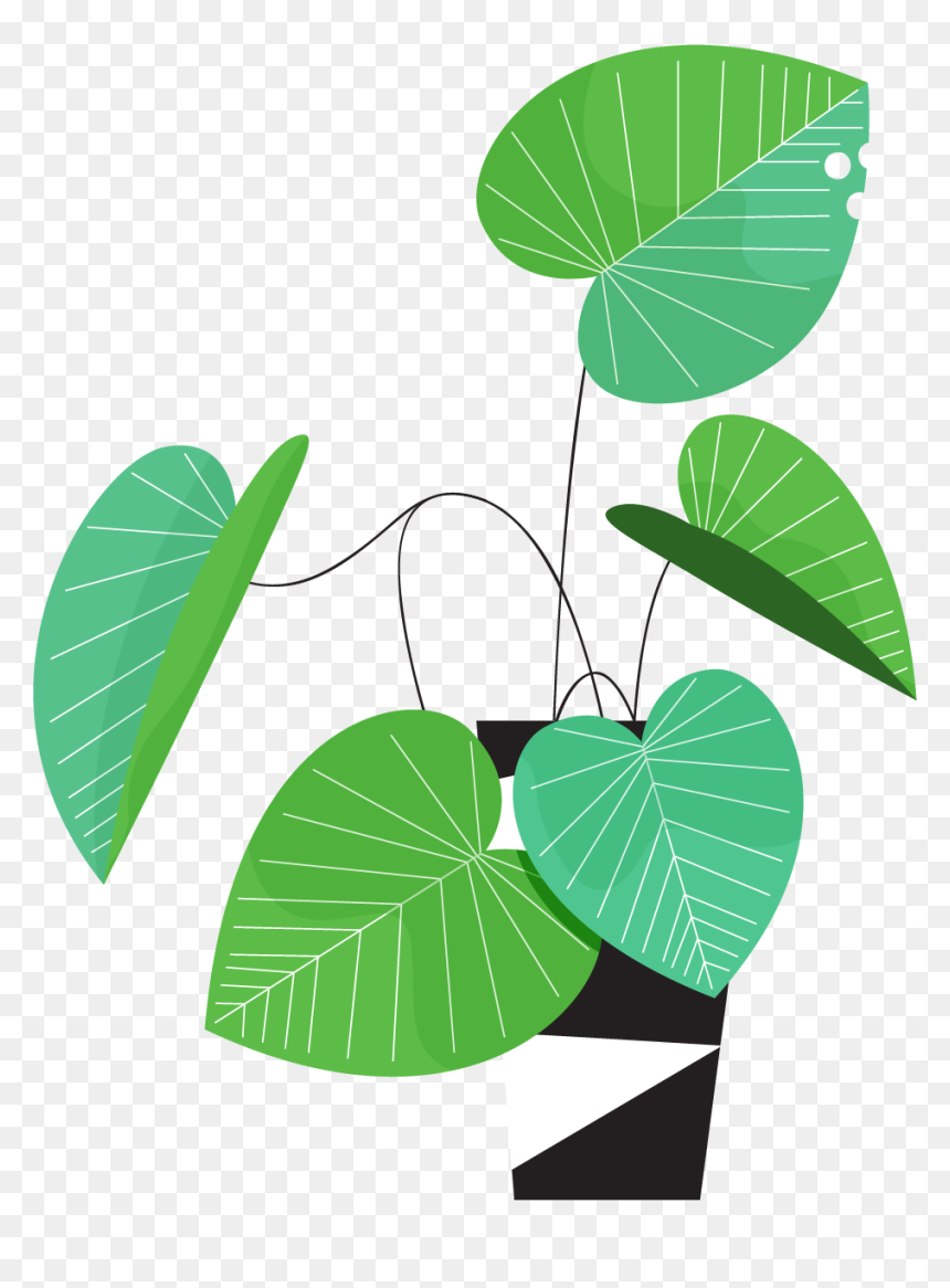 Illustration, HD Png Download - pot leaf png
