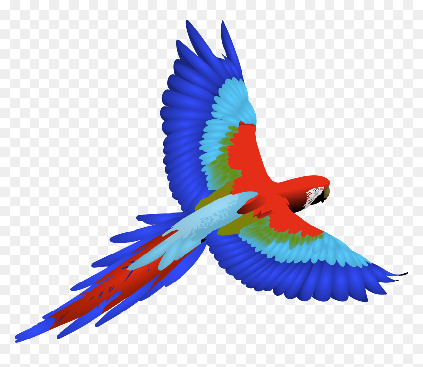 Flying Parrot Clipart, HD Png Download - feathers png