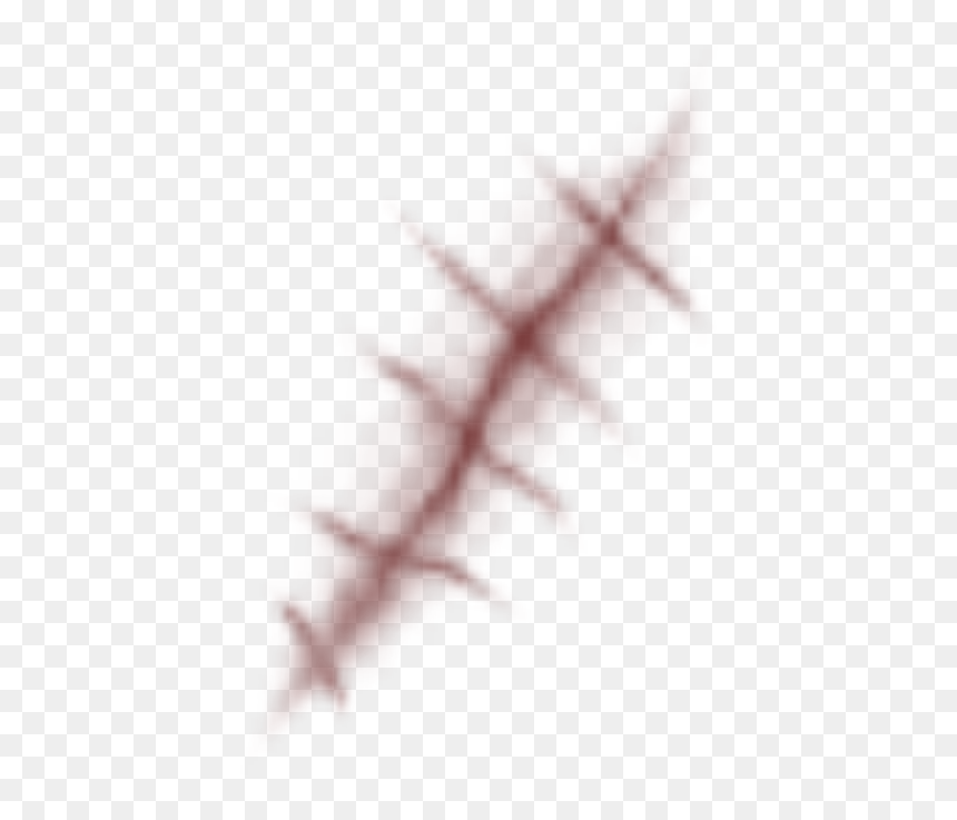 Thorns, Spines, And Prickles, HD Png Download - scratch png