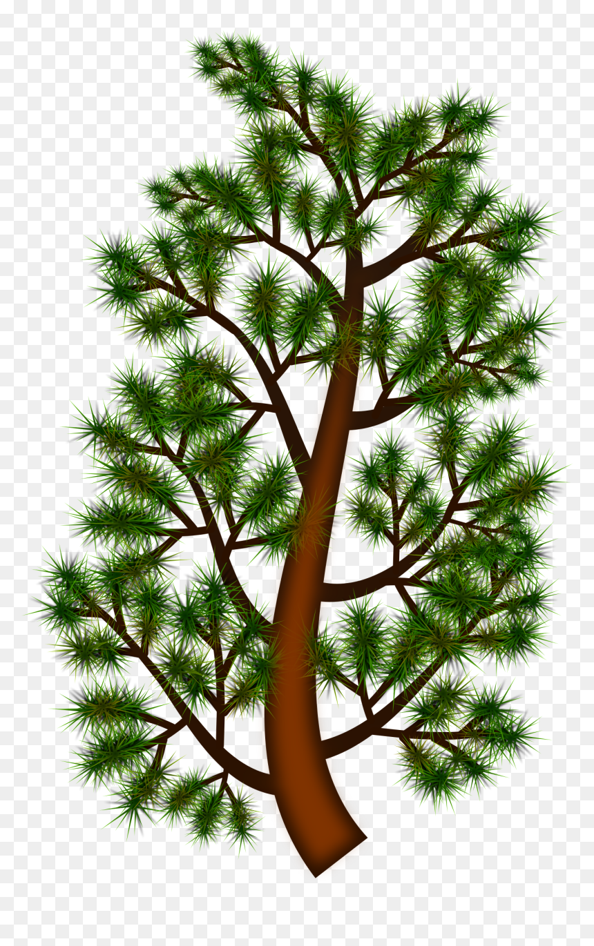 Pine Tree Branch Clip Arts - Clip Art, HD Png Download - tree branch png