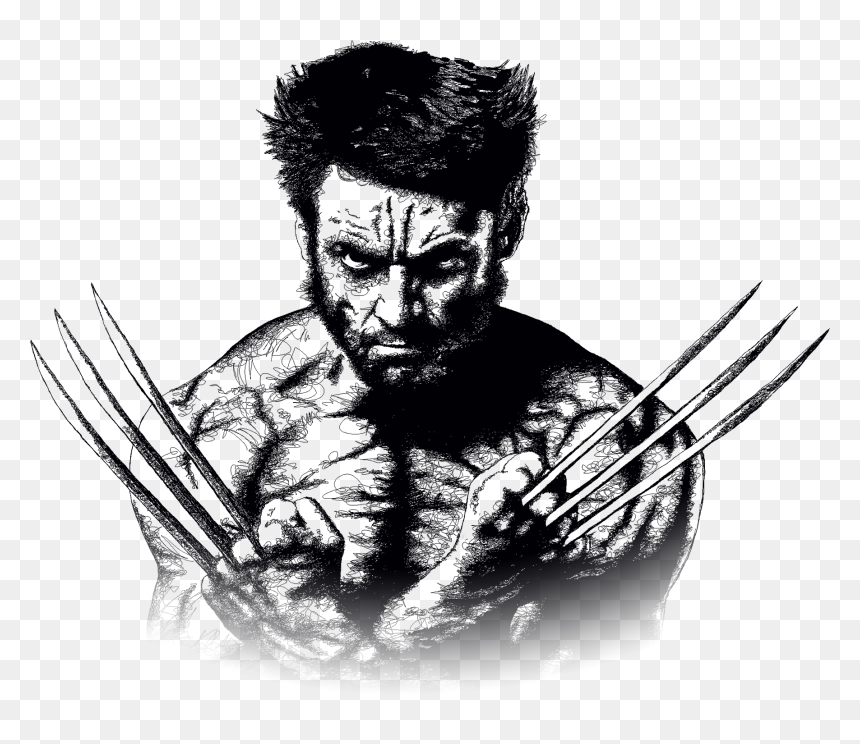Graphic Design Drogheda, Web Design Drogheda, Illustration - Wolverine Png Transparent, Png Download - wolverine png