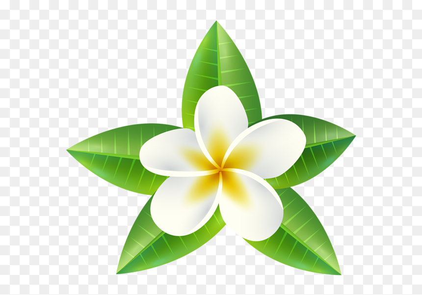 Tropical Flower Png Clip Art Image - Transparent Tropical Flowers ...