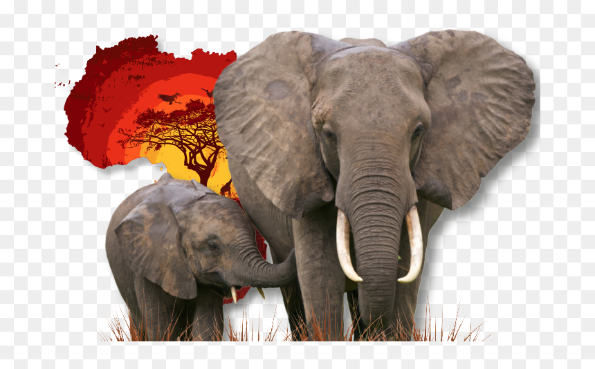 Elephant And Its Baby, HD Png Download - stripes png