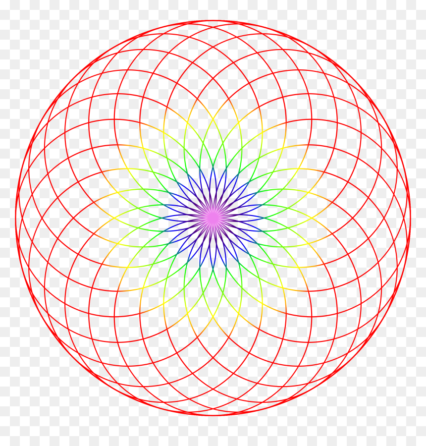 Fibonacci Dual Spiral Clip Arts - Draw And List Part Of The Circle, HD Png Download - spiral png