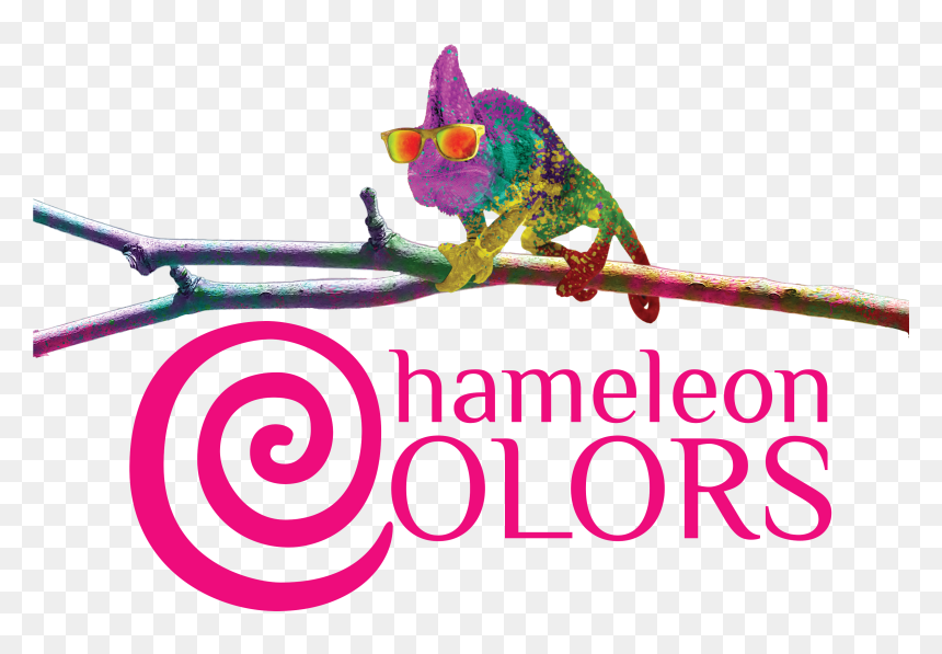Dog Catches Something, HD Png Download - holi colors png