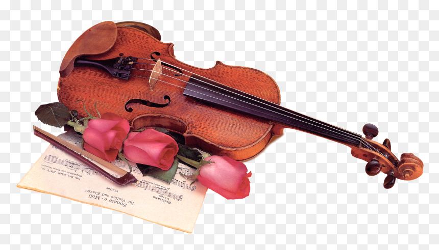 Цветы И Музыкальные Инструменты, HD Png Download - violin png