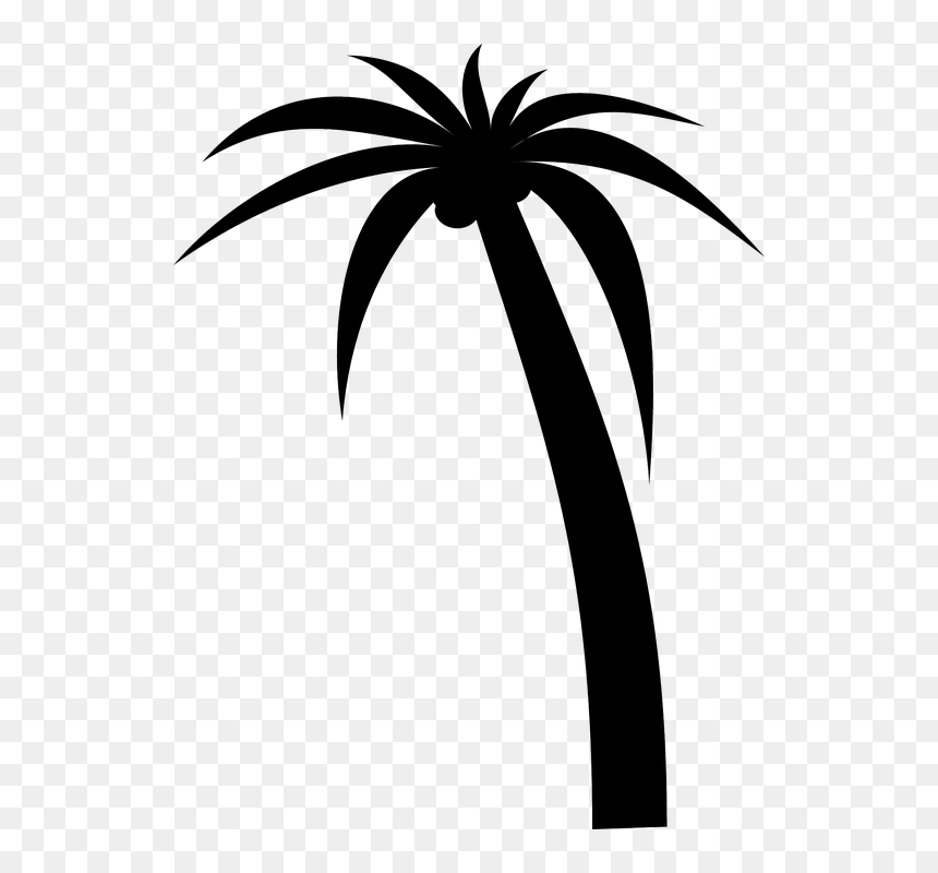 Trees Vector Graphics Pixabay Download Free Images - Vector Green Coconut Tree, HD Png Download - palm png