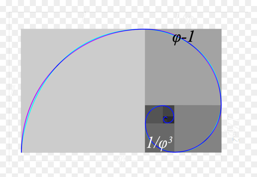 Circle, HD Png Download - golden ratio png