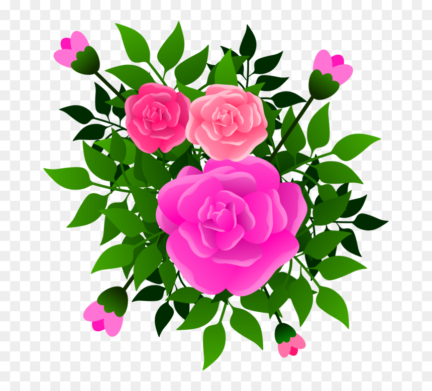 Pink,flower,prickly Rose - Hybrid Tea Rose, HD Png Download - pink rose png