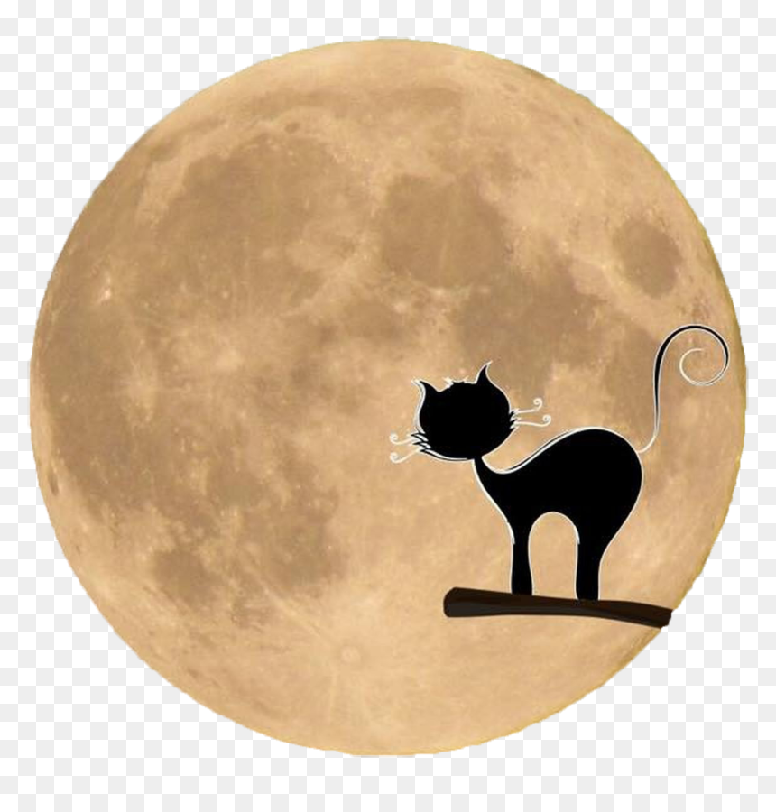 Free Black Cat Silhouette In Front Of The Moon Png - Crne Macke Slike, Transparent Png - black cat png