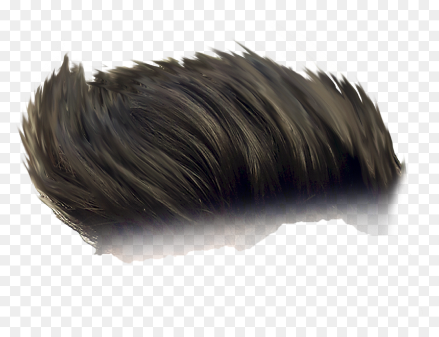 Monochrome, HD Png Download - wig png