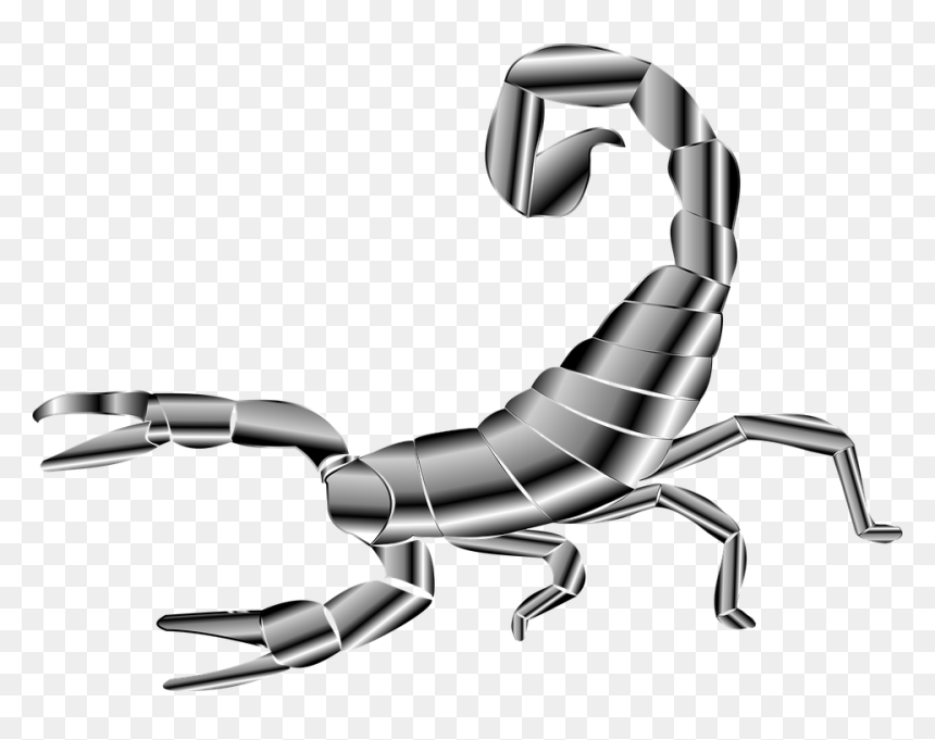 Scorpion Silhouette, HD Png Download - scorpion png