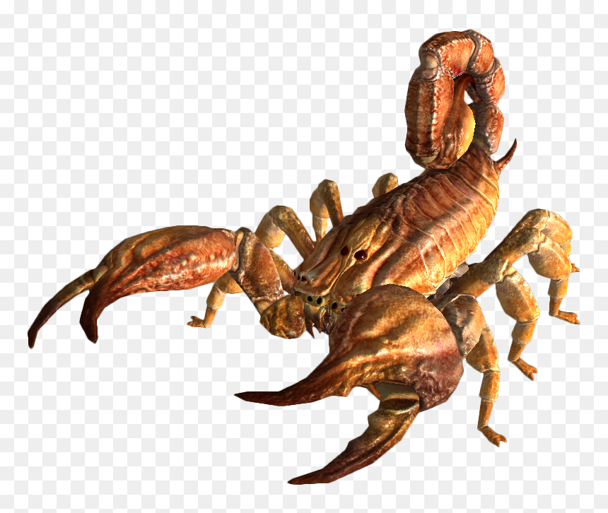 Скорпион Png, Transparent Png - scorpion png