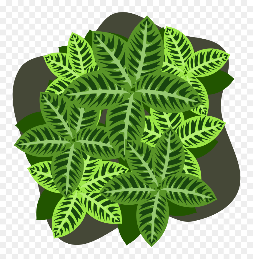 Four-leaf Clover, HD Png Download - four leaf clover png