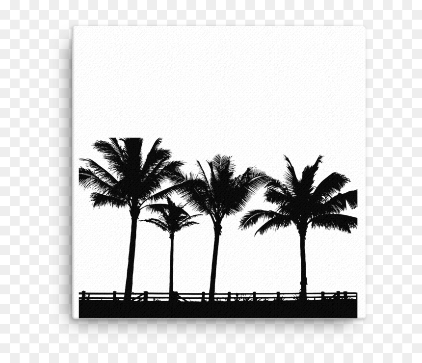 Transparent Palm Tree Silhouette Png - Palm Treee Vector Silhouette, Png Download - palm tree silhouette png