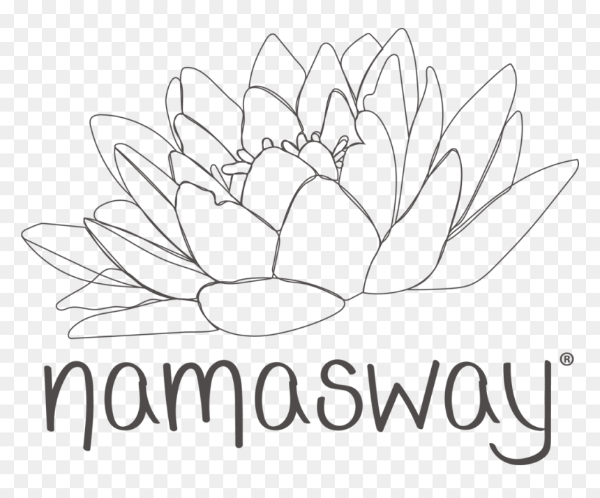 Lotus Flower - Line Art, HD Png Download - lotus flower png