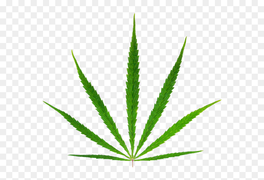Transparent Background Marijuana Clip Art, HD Png Download - marijuana png