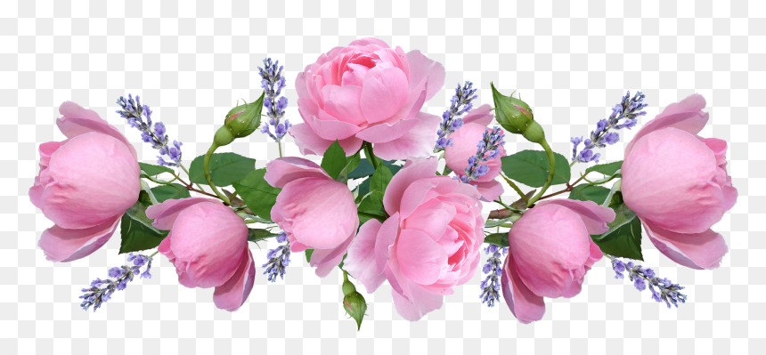 Pink Flowers Png Transparent, Png Download - pink rose png