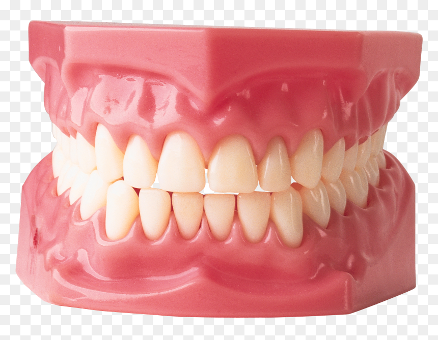 Teeth - Human Gums And Teeth, HD Png Download - teeth png