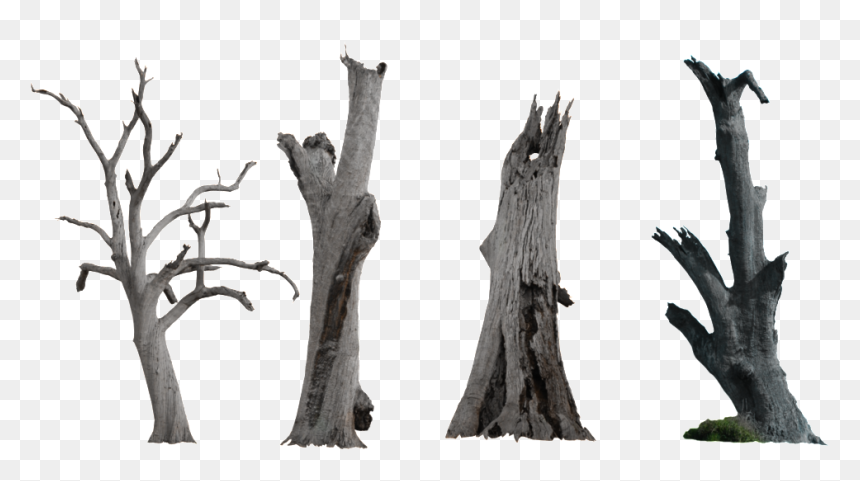 Ink Chinese Style Dry Branches Decorative Elements - Dry Tree Png, Transparent Png - dead tree png