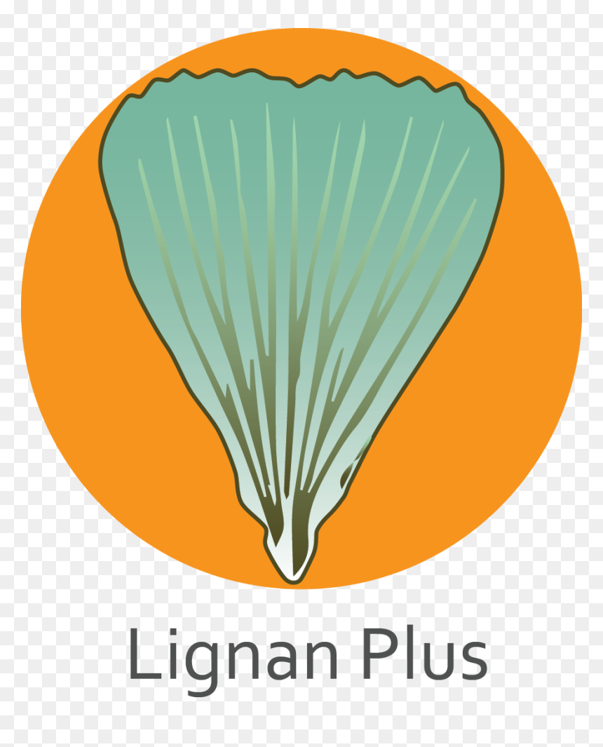 Lignan Plus - Poster, HD Png Download - plus png