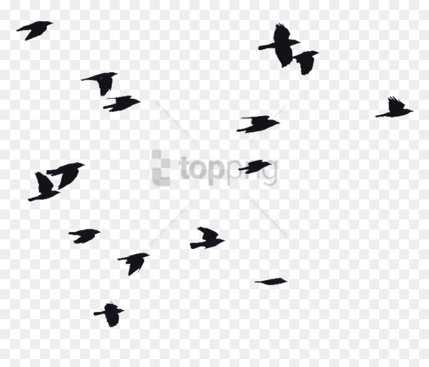 Free Png Birds Flying Silhouette Png Image With Transparent - Silhouette Birds Flying Png, Png Download - birds flying png